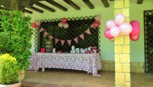 Blog - IMG 2192 1024x579 1
